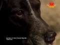 Falso gras vegano y pan sin amasar de Belleza sin Crueldad de Sudáfrica – P1 de 2
