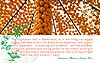 Background card